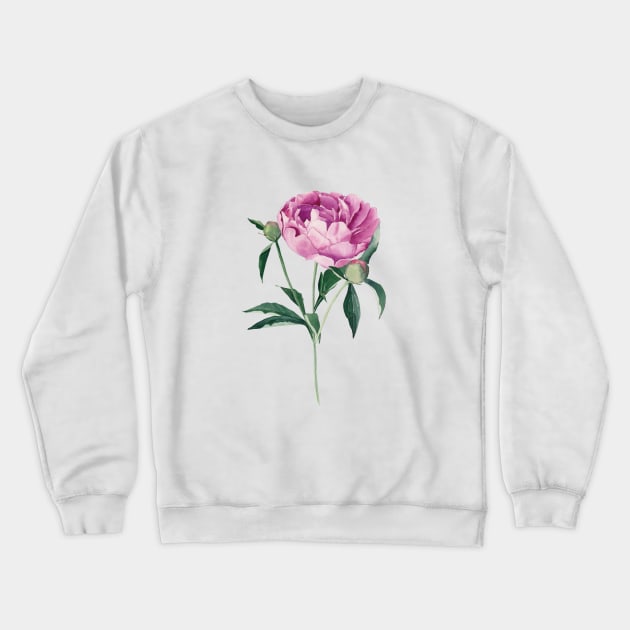 Watercolor peony flower Crewneck Sweatshirt by InnaPatiutko